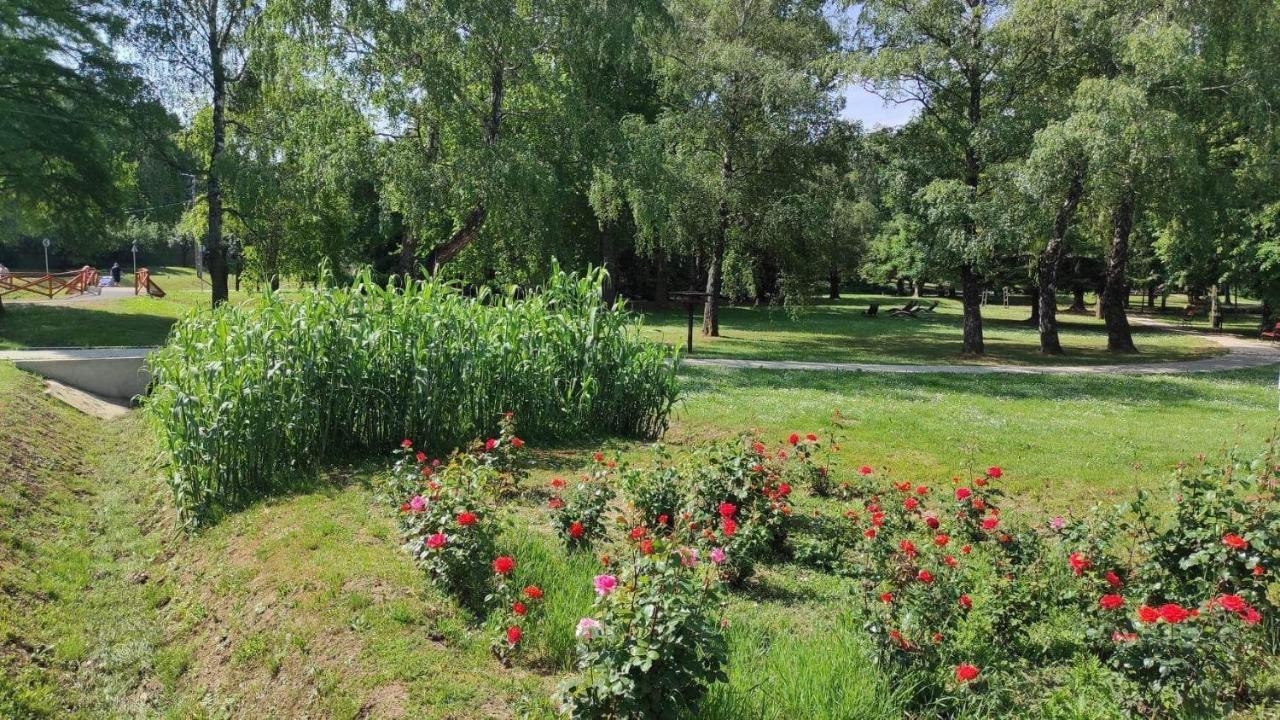 Silence Apartmanhaz Залакарос Екстериор снимка